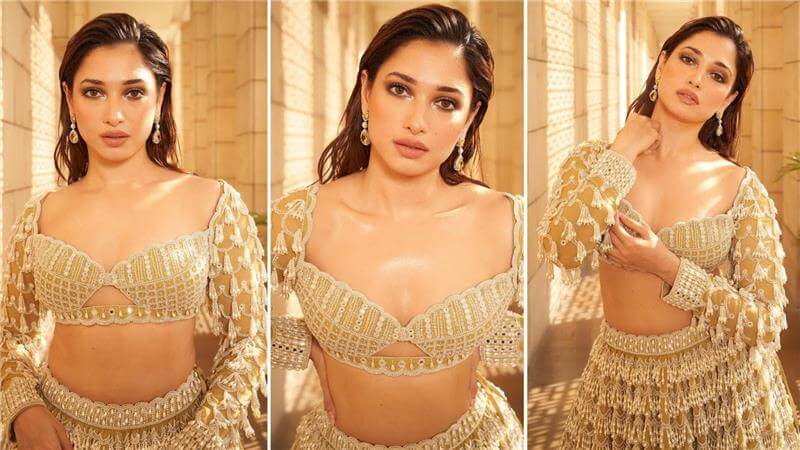 Pastel Yellow Lehenga