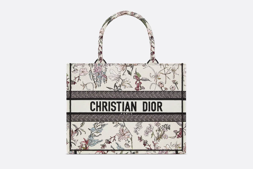 Sonam Kapoor Dior Bag inner3