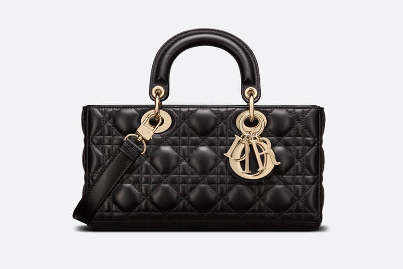 Sonam Kapoor Dior Bag inner4