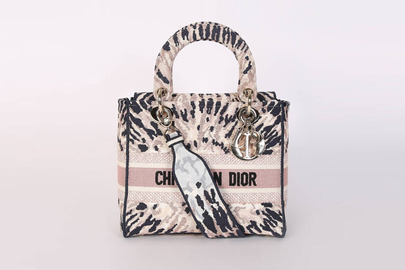 Sonam Kapoor Dior Bag inner5