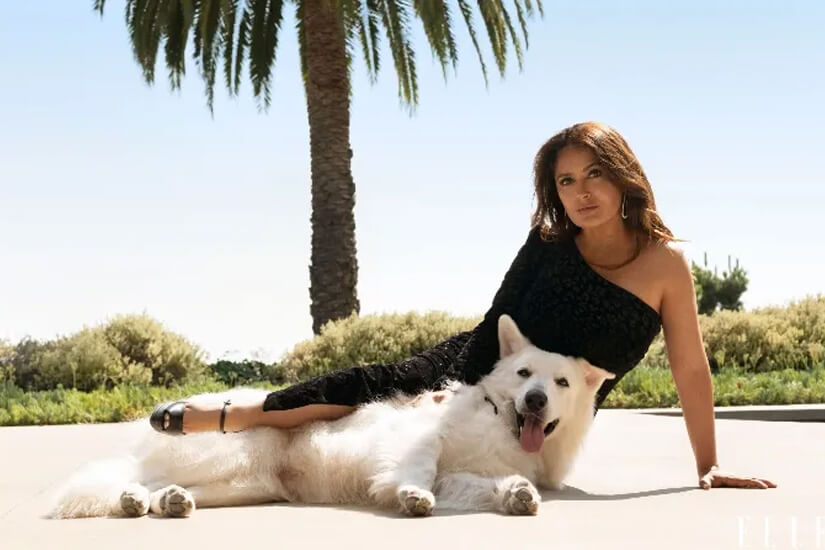 Tepezcohuite tree bark