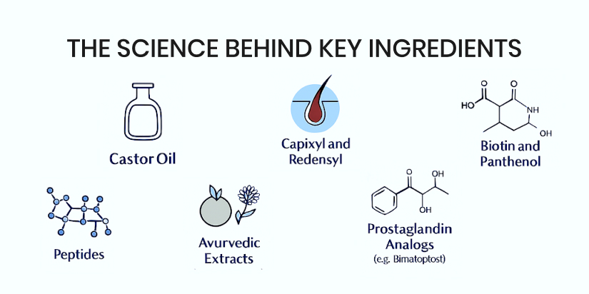 The Science Behind Key Ingredients