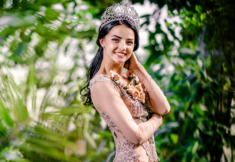 categories blog image