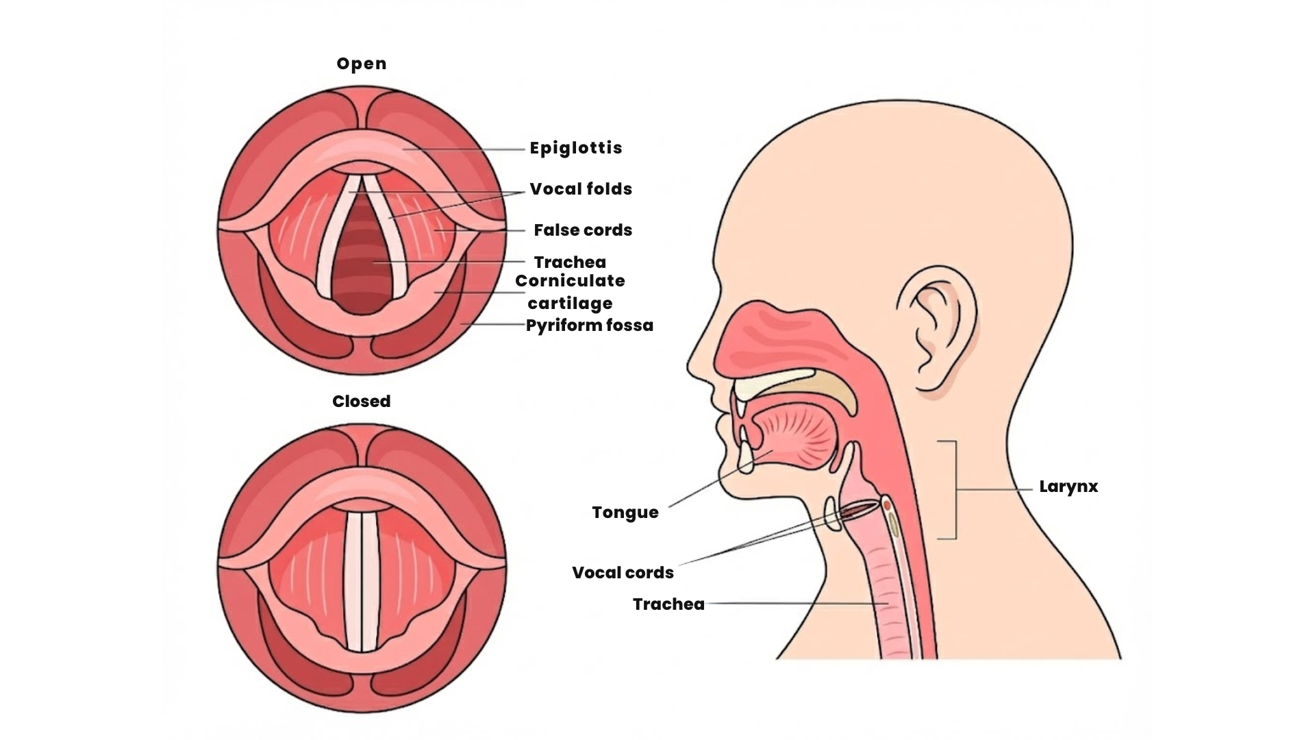 Know-Your-Fabric-The-Anatomy