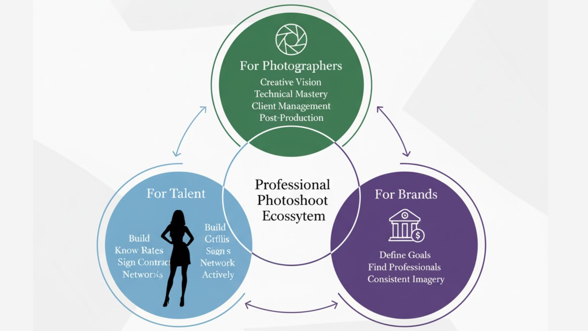 Three-Segment-Audience-Advice-Circle